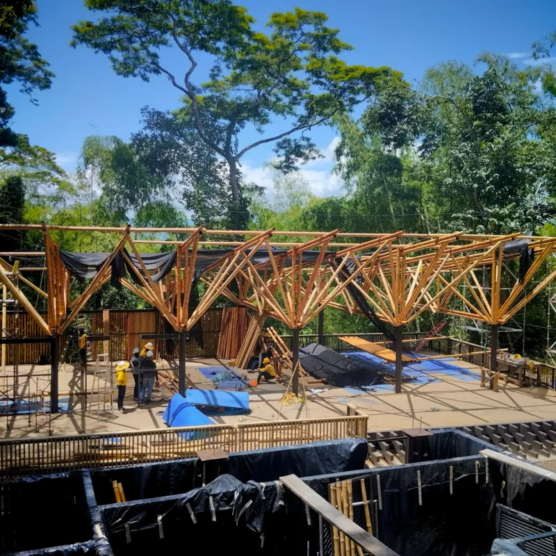 Guadua Bamboo structures at the Cerro Tusa park in Colombia