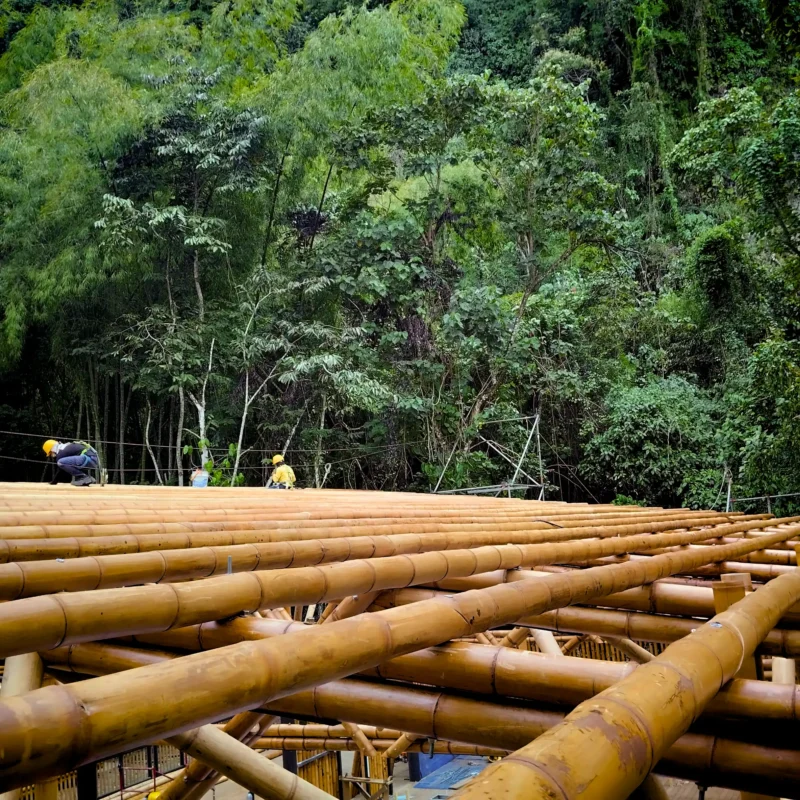 Guadua Bamboo structures at the Cerro Tusa park in Colombia