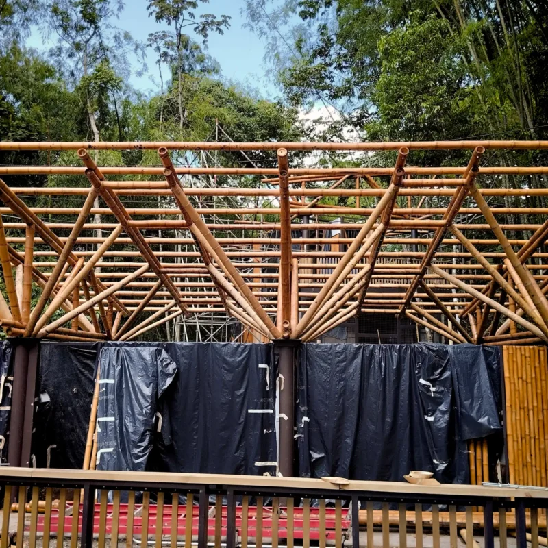 Guadua Bamboo structures at the Cerro Tusa park in Colombia