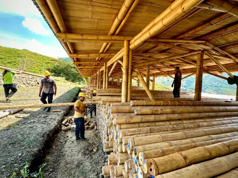 Guadua Bamboo structures at the Cerro Tusa park in Colombia