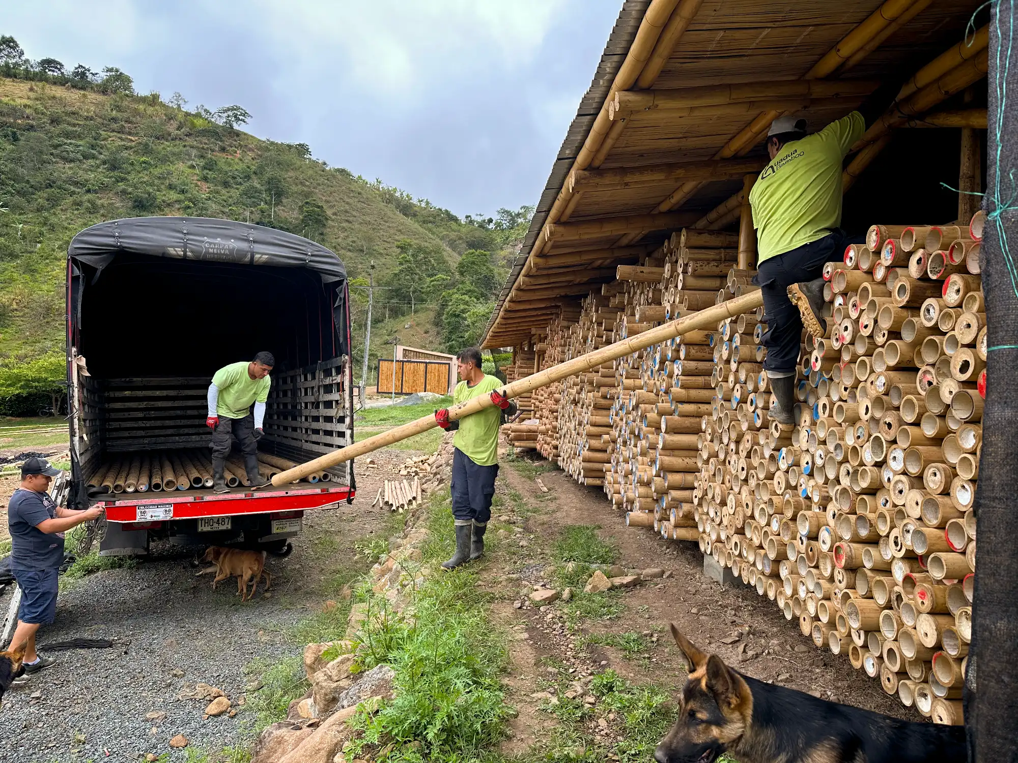 Guadua Bamboo structures at the Cerro Tusa park in Colombia