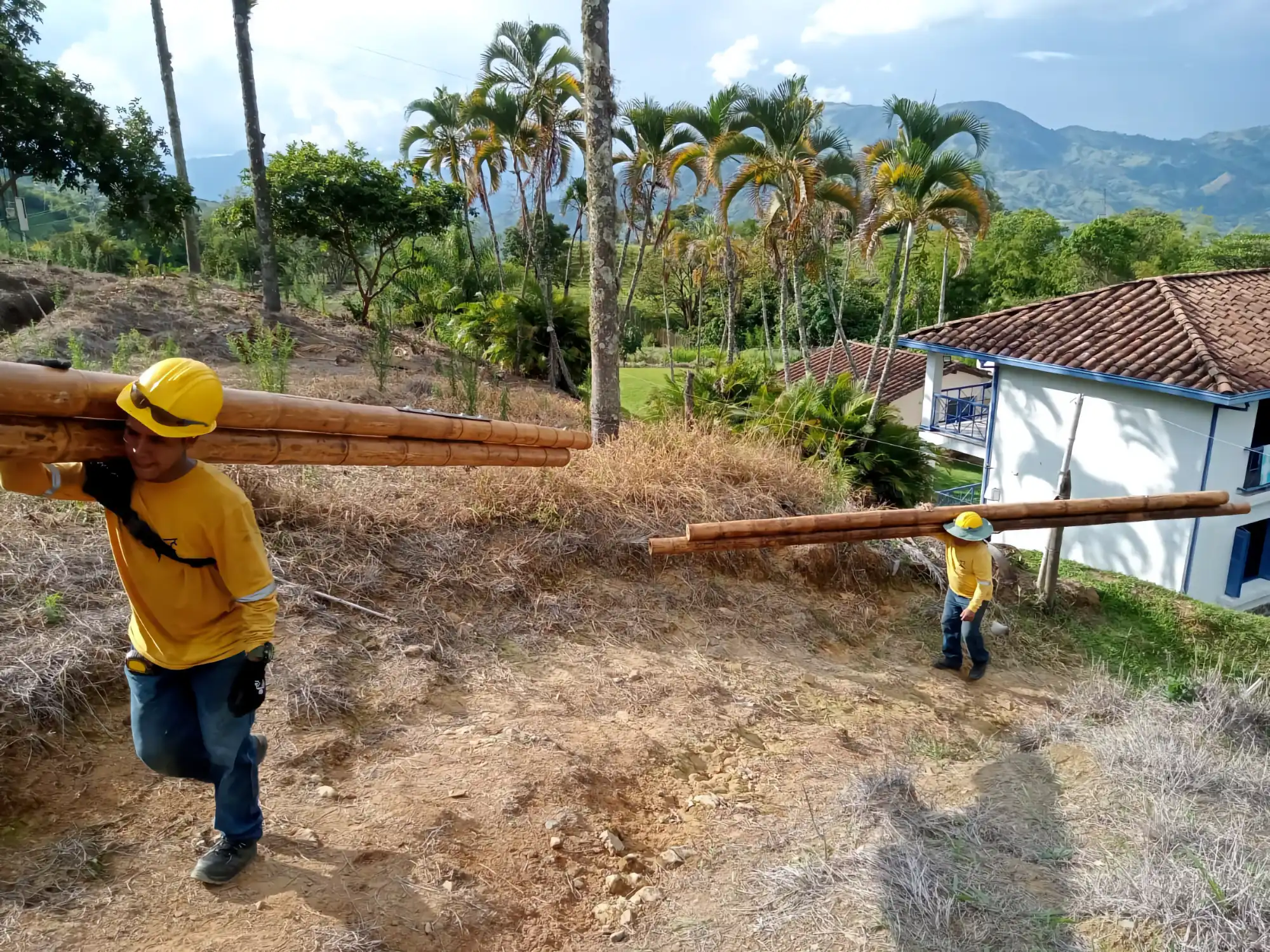 Guadua Bamboo structures at the Cerro Tusa park in Colombia
