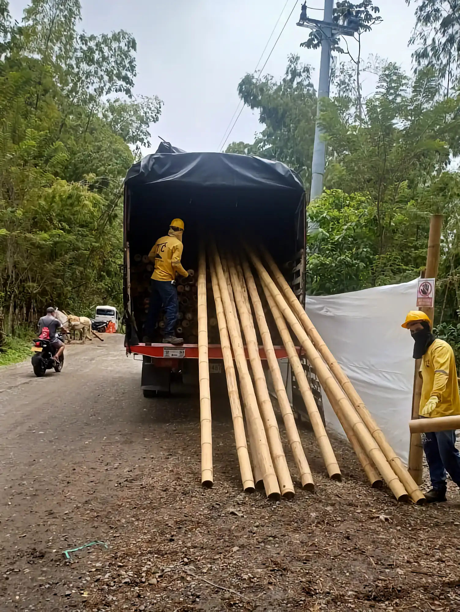 Guadua Bamboo structures at the Cerro Tusa park in Colombia