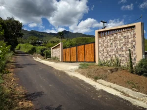 Luxury entrance gate design using premium Guadua Bamboo in Colombia
