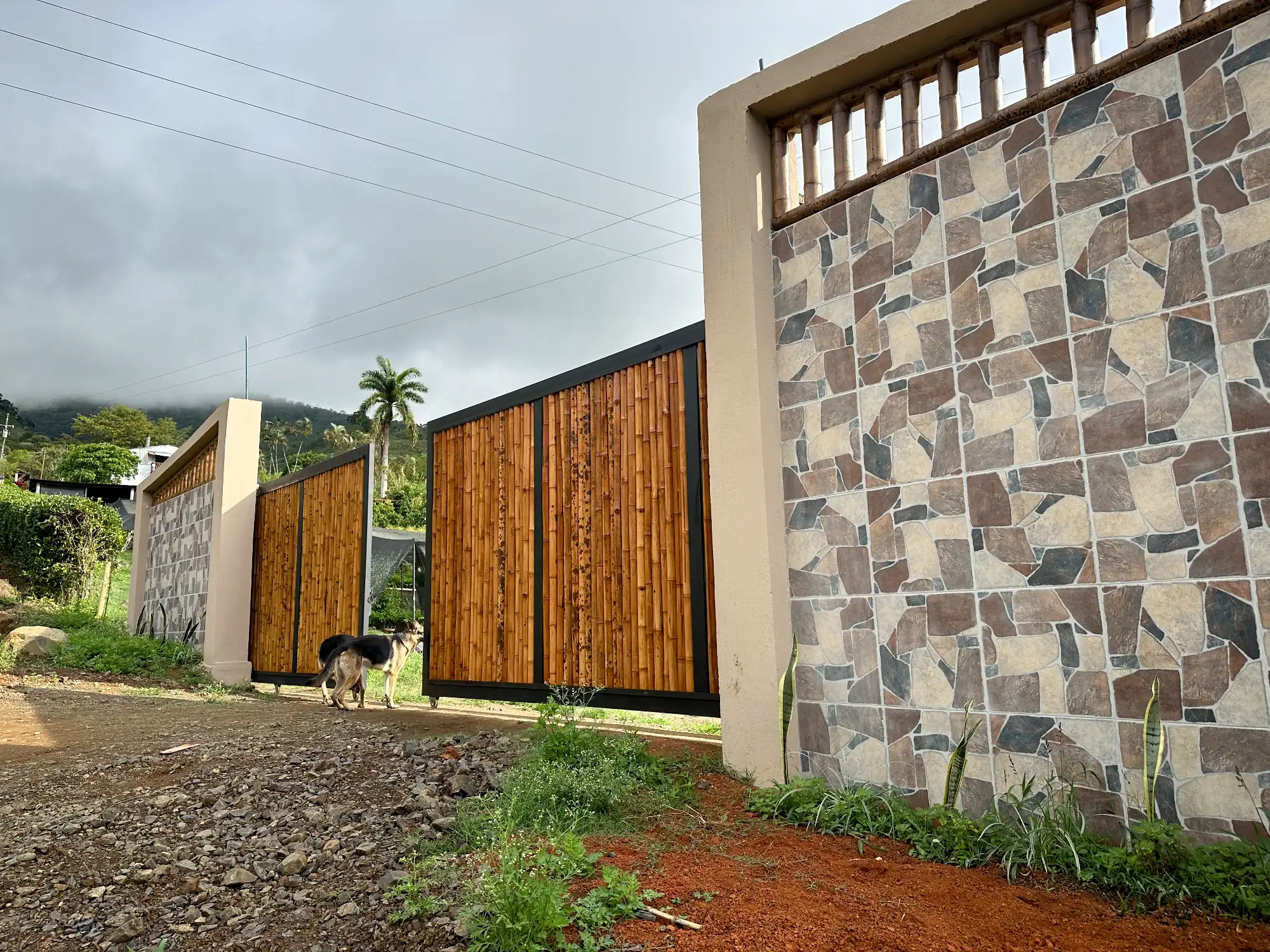 Luxury entrance gate design using premium Guadua Bamboo in Colombia