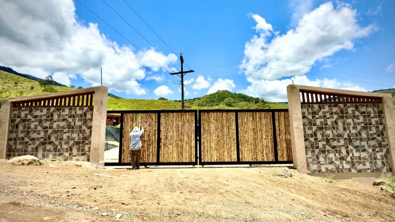 Luxury entrance gate design using premium Guadua Bamboo in Colombia
