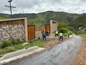 Luxury entrance gate design using premium Guadua Bamboo in Colombia