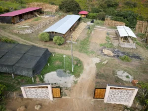 Luxury entrance gate design using premium Guadua Bamboo in Colombia