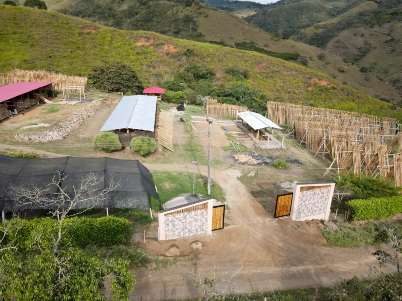 Luxury entrance gate design using premium Guadua Bamboo in Colombia