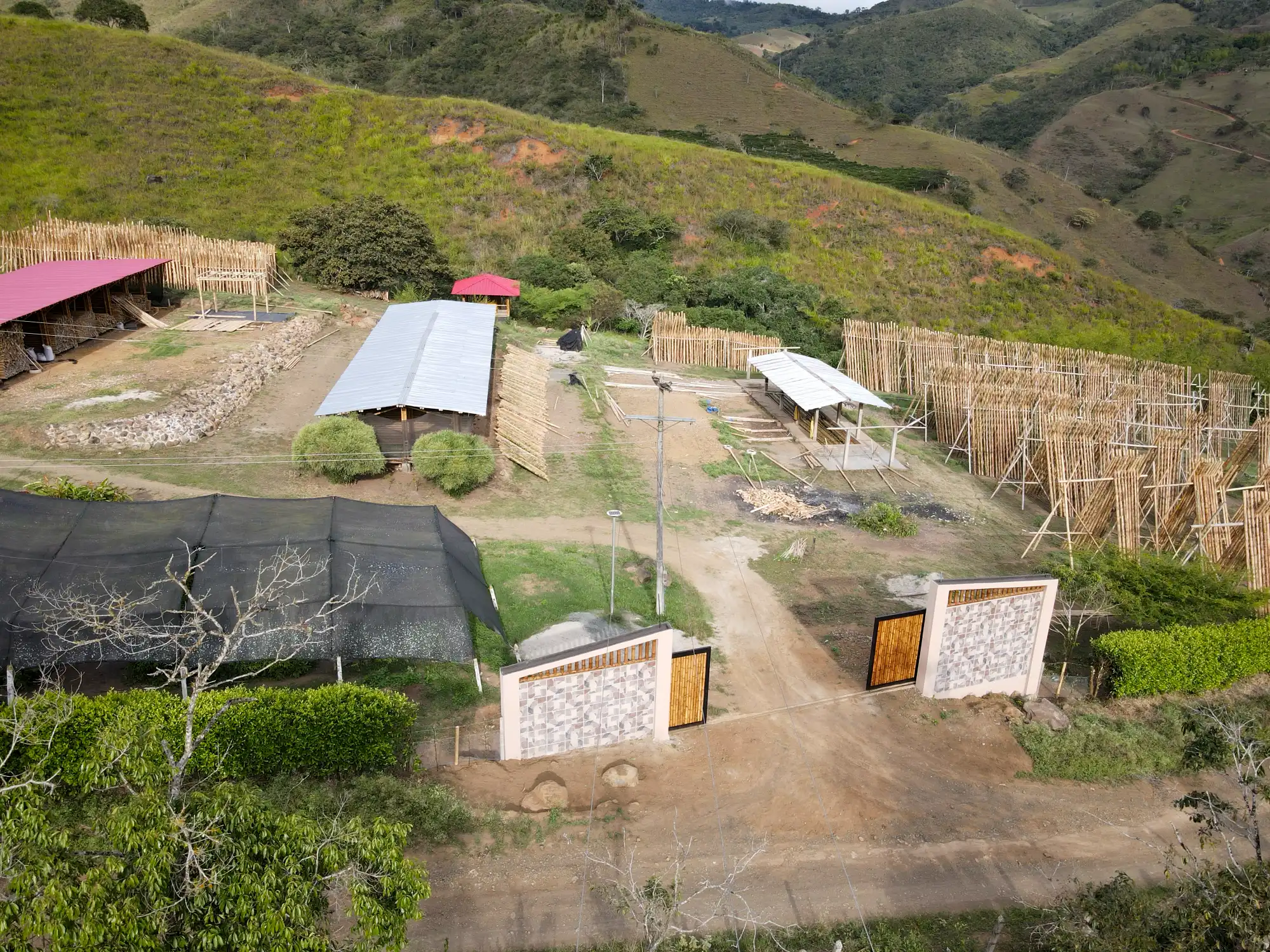 Luxury entrance gate design using premium Guadua Bamboo in Colombia