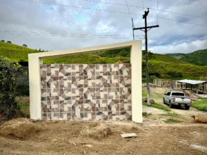 Luxury entrance gate design using premium Guadua Bamboo in Colombia