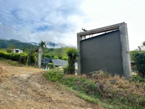 Luxury entrance gate design using premium Guadua Bamboo in Colombia