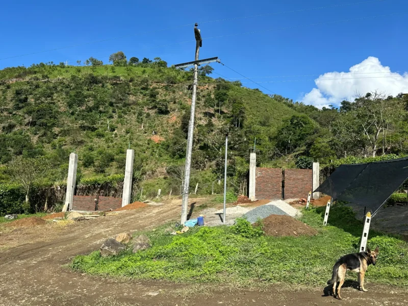 Luxury entrance gate design using premium Guadua Bamboo in Colombia