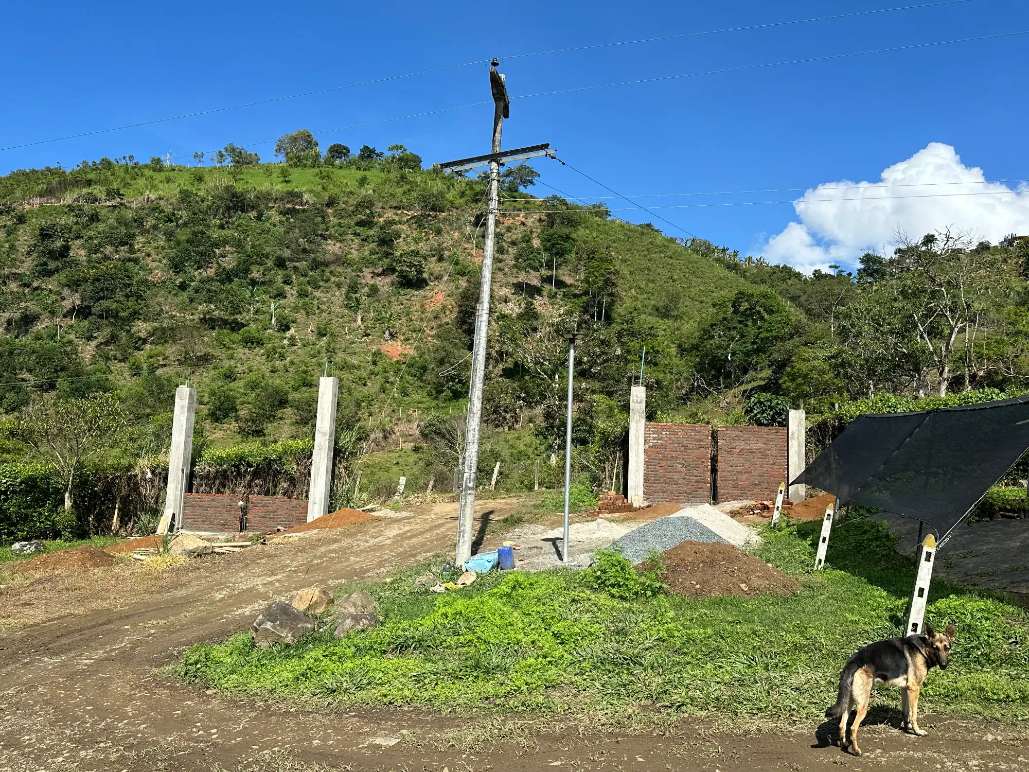 Luxury entrance gate design using premium Guadua Bamboo in Colombia