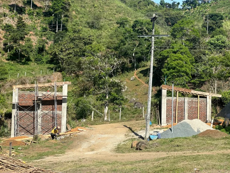 Luxury entrance gate design using premium Guadua Bamboo in Colombia