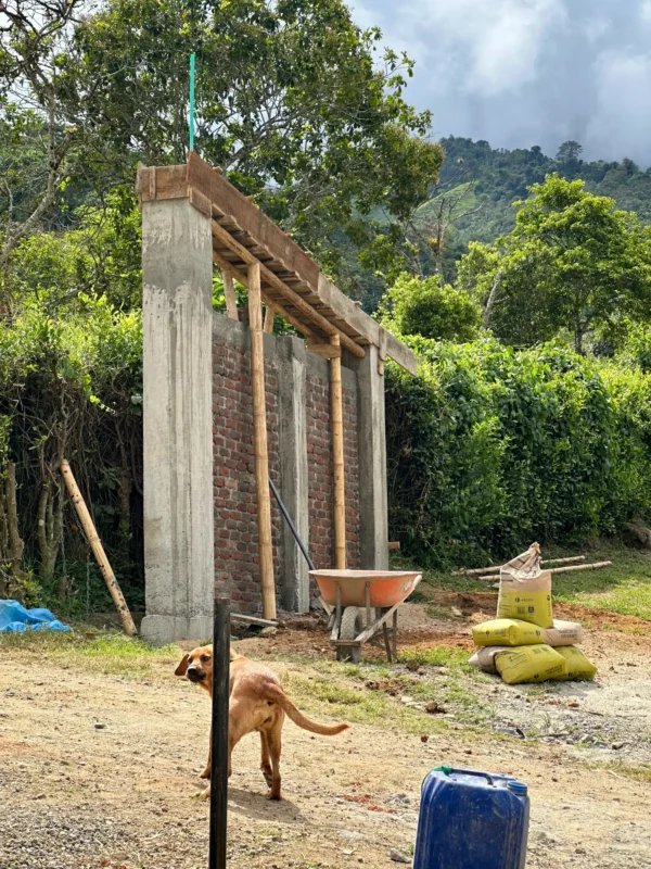 Luxury entrance gate design using premium Guadua Bamboo in Colombia