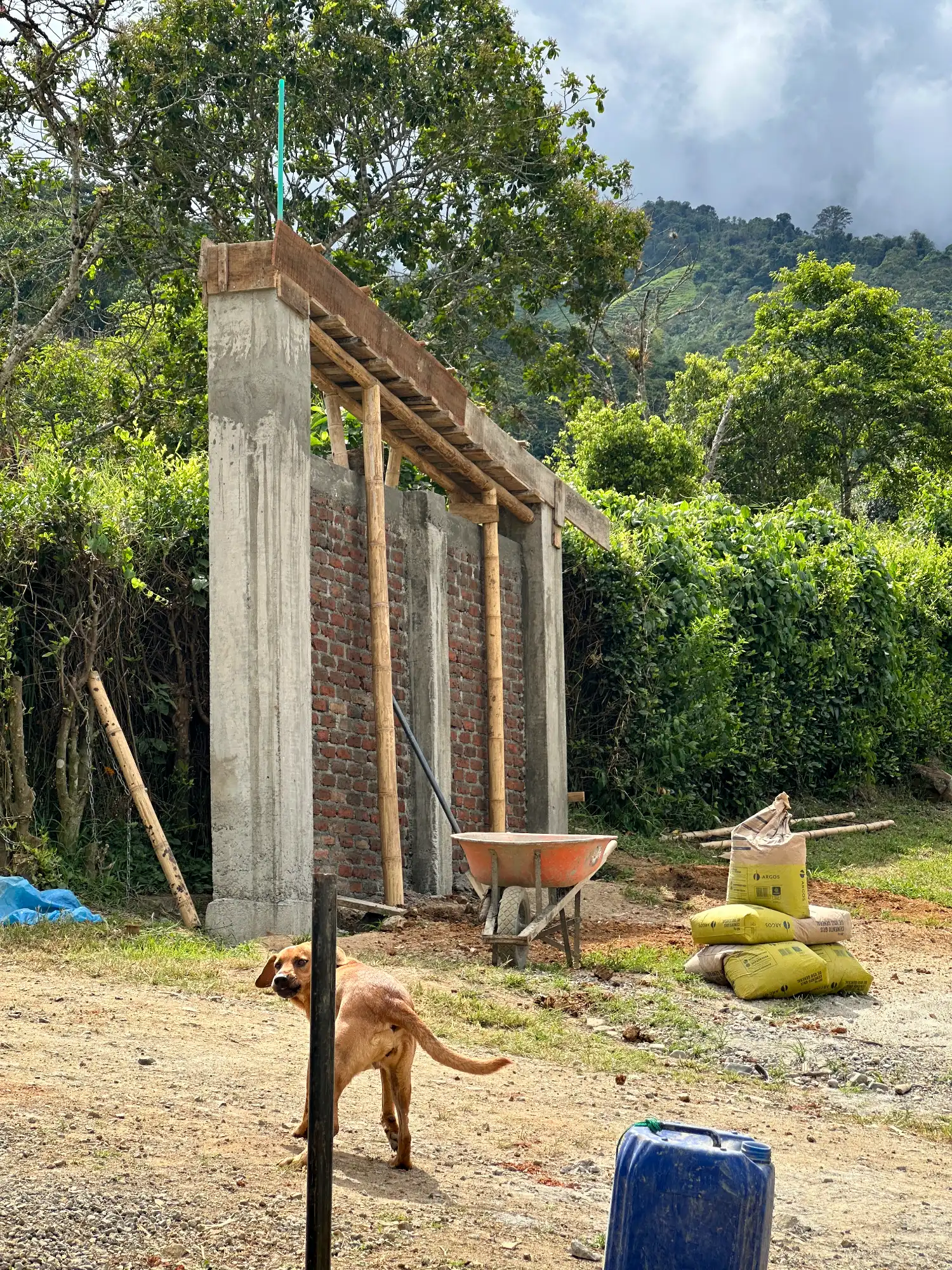 Luxury entrance gate design using premium Guadua Bamboo in Colombia