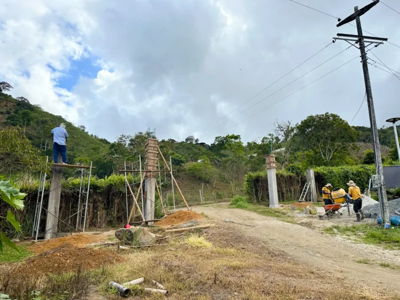 Luxury entrance gate design using premium Guadua Bamboo in Colombia