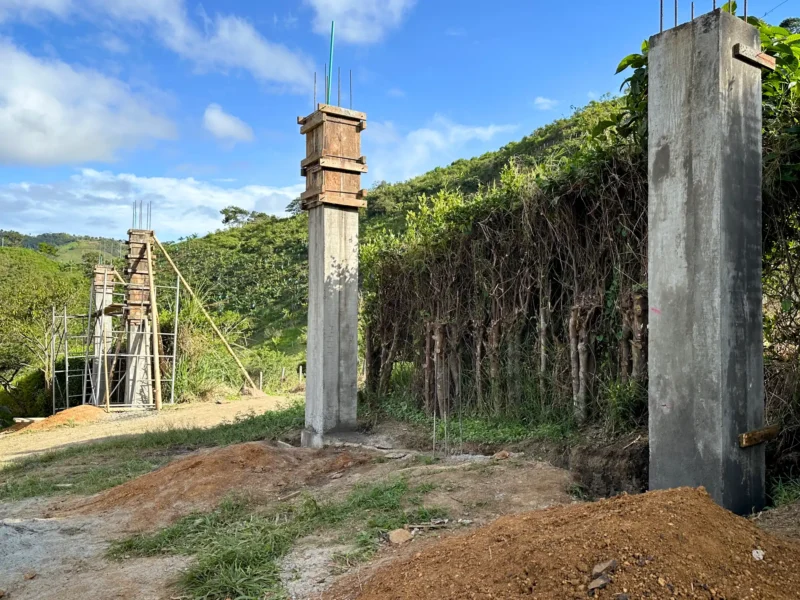 Luxury entrance gate design using premium Guadua Bamboo in Colombia