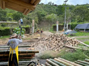 Luxury entrance gate design using premium Guadua Bamboo in Colombia