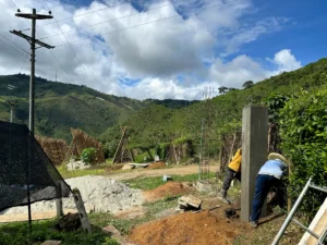 Luxury entrance gate design using premium Guadua Bamboo in Colombia