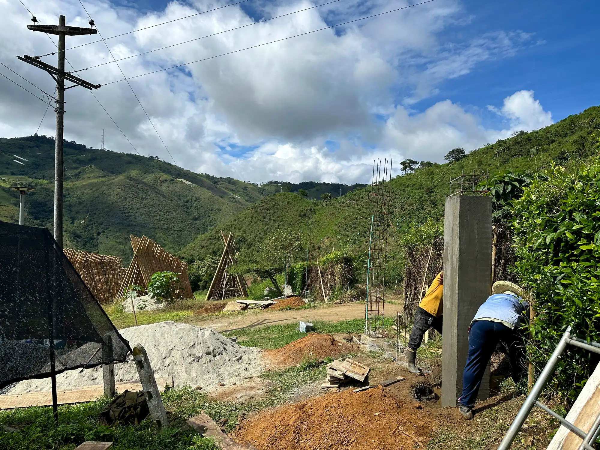 Luxury entrance gate design using premium Guadua Bamboo in Colombia