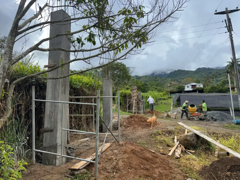 Luxury entrance gate design using premium Guadua Bamboo in Colombia