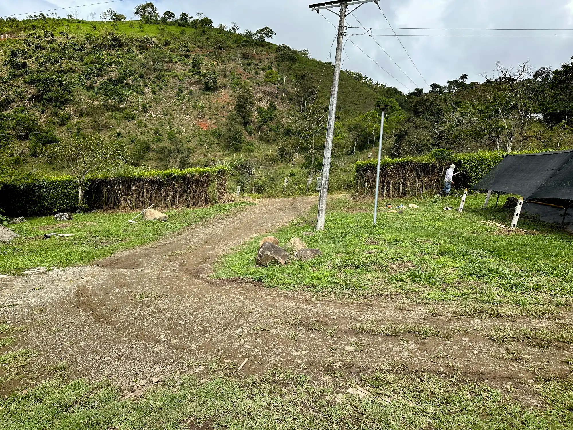 Luxury entrance gate design using premium Guadua Bamboo in Colombia