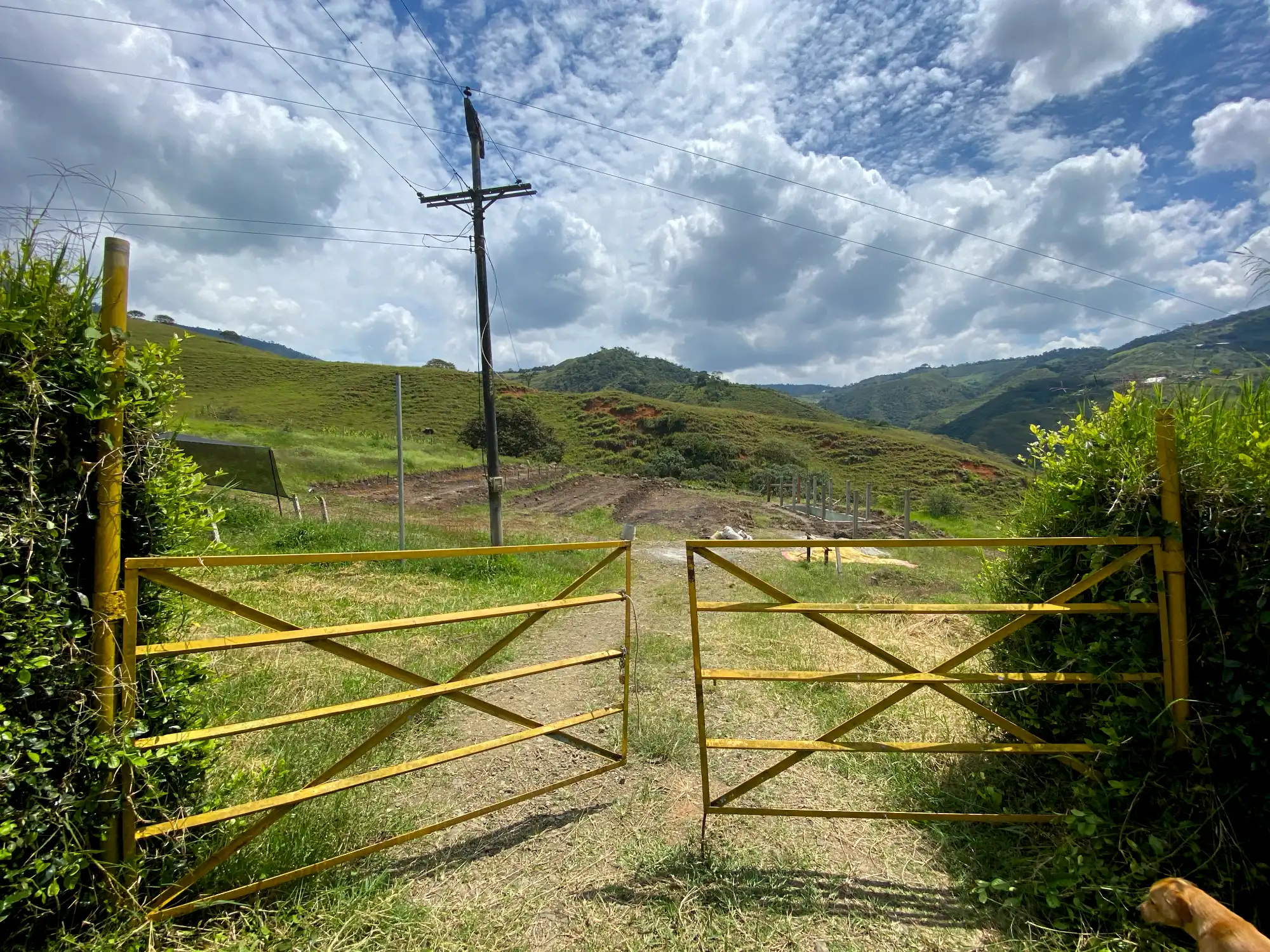 Luxury entrance gate design using premium Guadua Bamboo in Colombia
