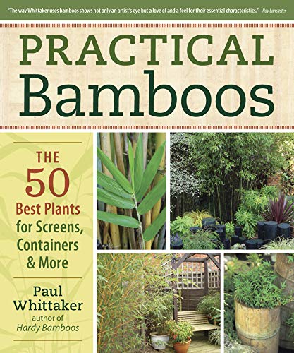 The Best Books to Learn about Bamboo 17 The Best Books to Learn about Bamboo