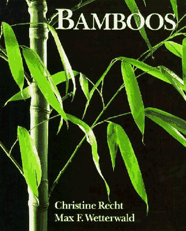 The Best Books to Learn about Bamboo 12 The Best Books to Learn about Bamboo