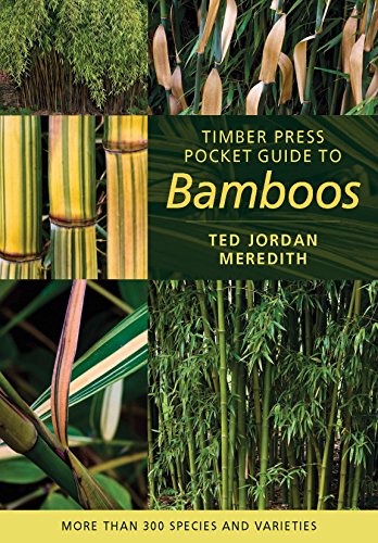 The Best Books to Learn about Bamboo 18 The Best Books to Learn about Bamboo