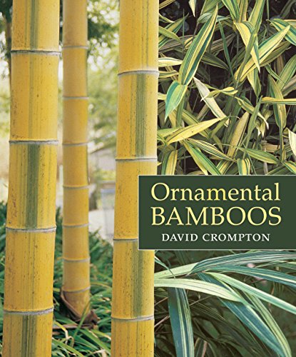 The Best Books to Learn about Bamboo 16 The Best Books to Learn about Bamboo