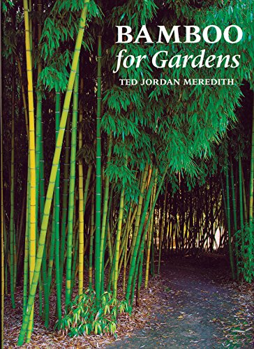 The Best Books to Learn about Bamboo 14 The Best Books to Learn about Bamboo