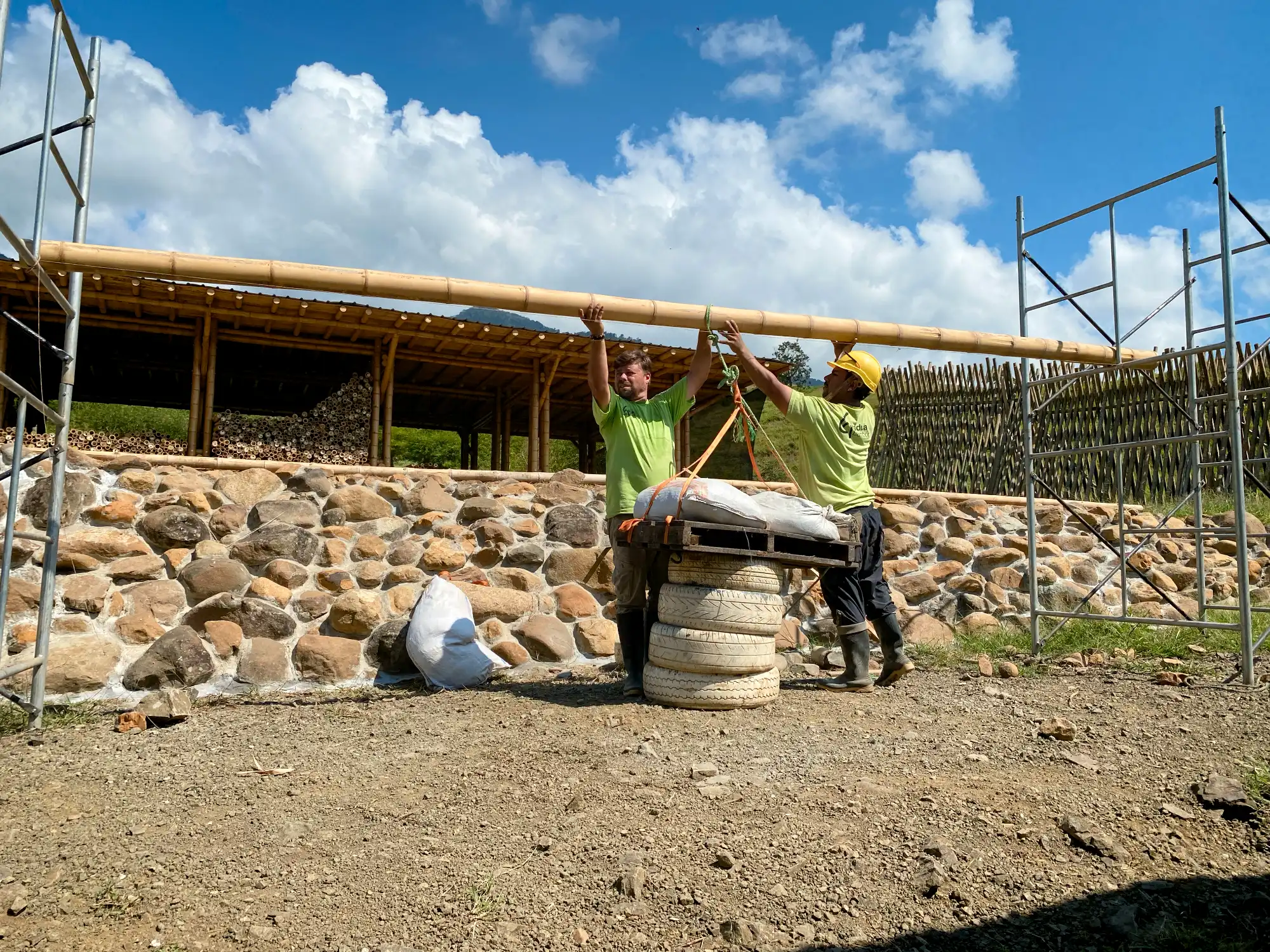 Grading bending strength of bamboo poles