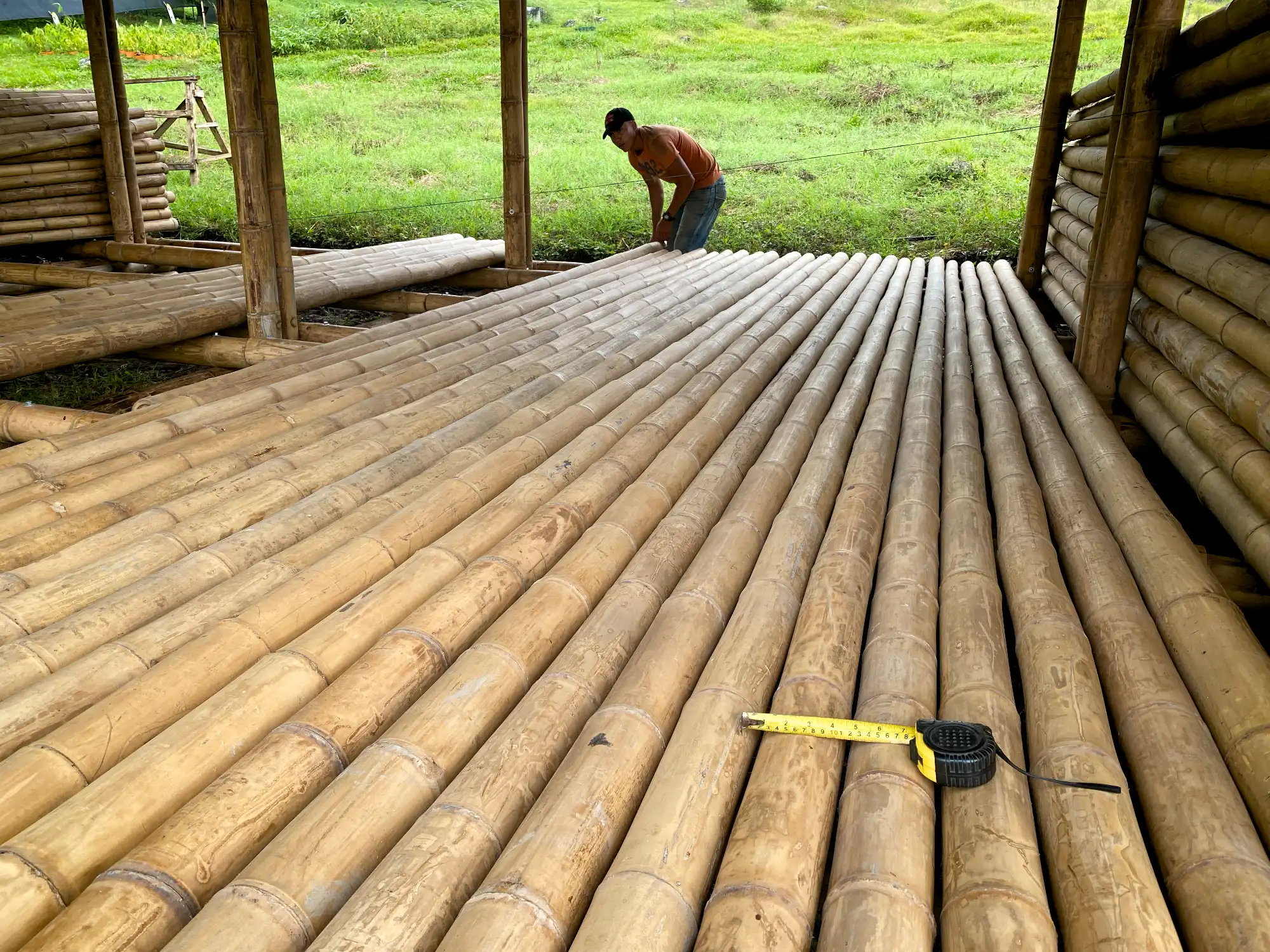 Grading taper and conicity Guadua bamboo poles