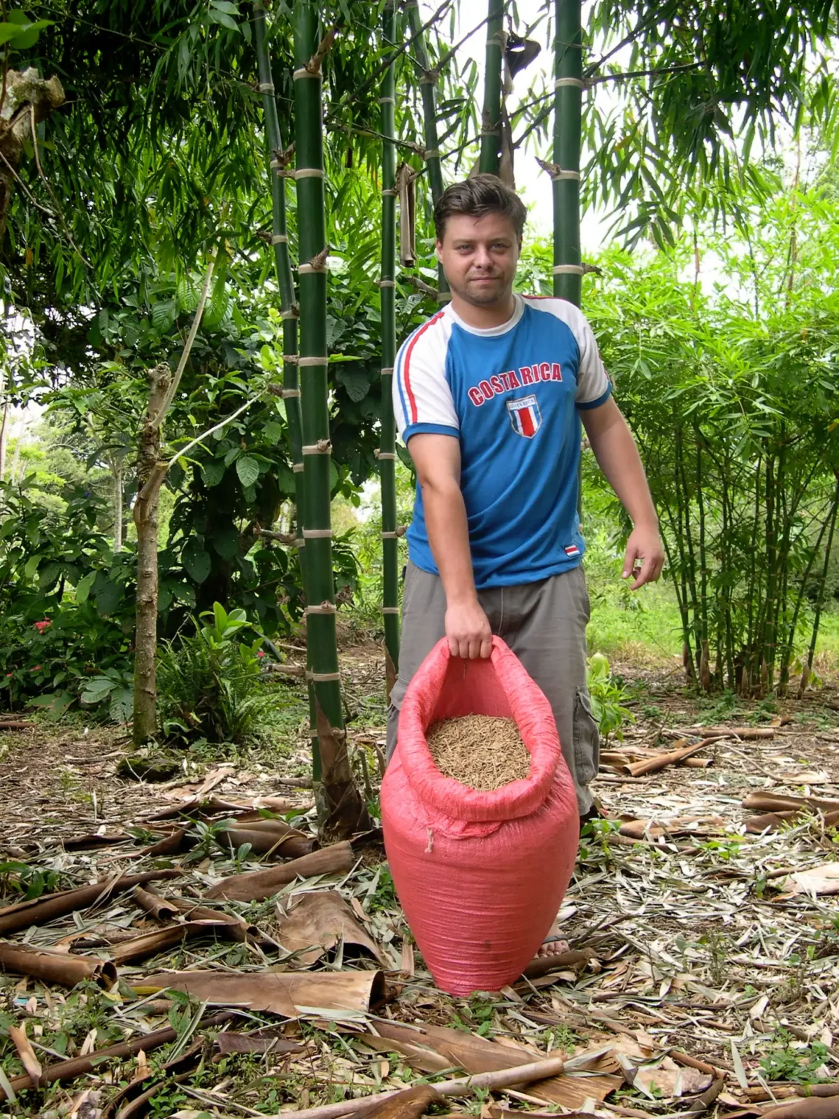 guadua-bamboo-seeds-stephane-schroder Stéphane Schröder with Guadua bamboo seeds in Costa Rica