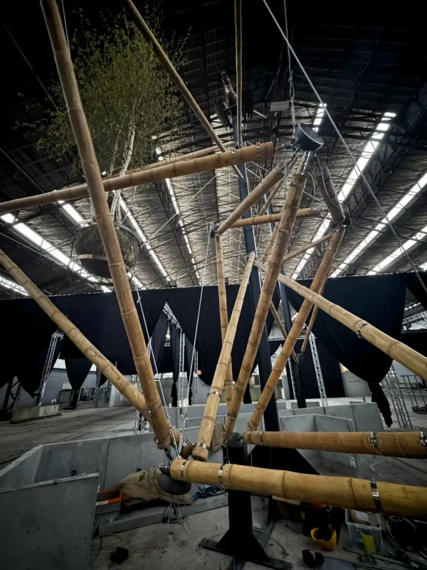 Guadua Bamboo Tensegrity Installation at Floraliën 2026 in Ghent, Belgium