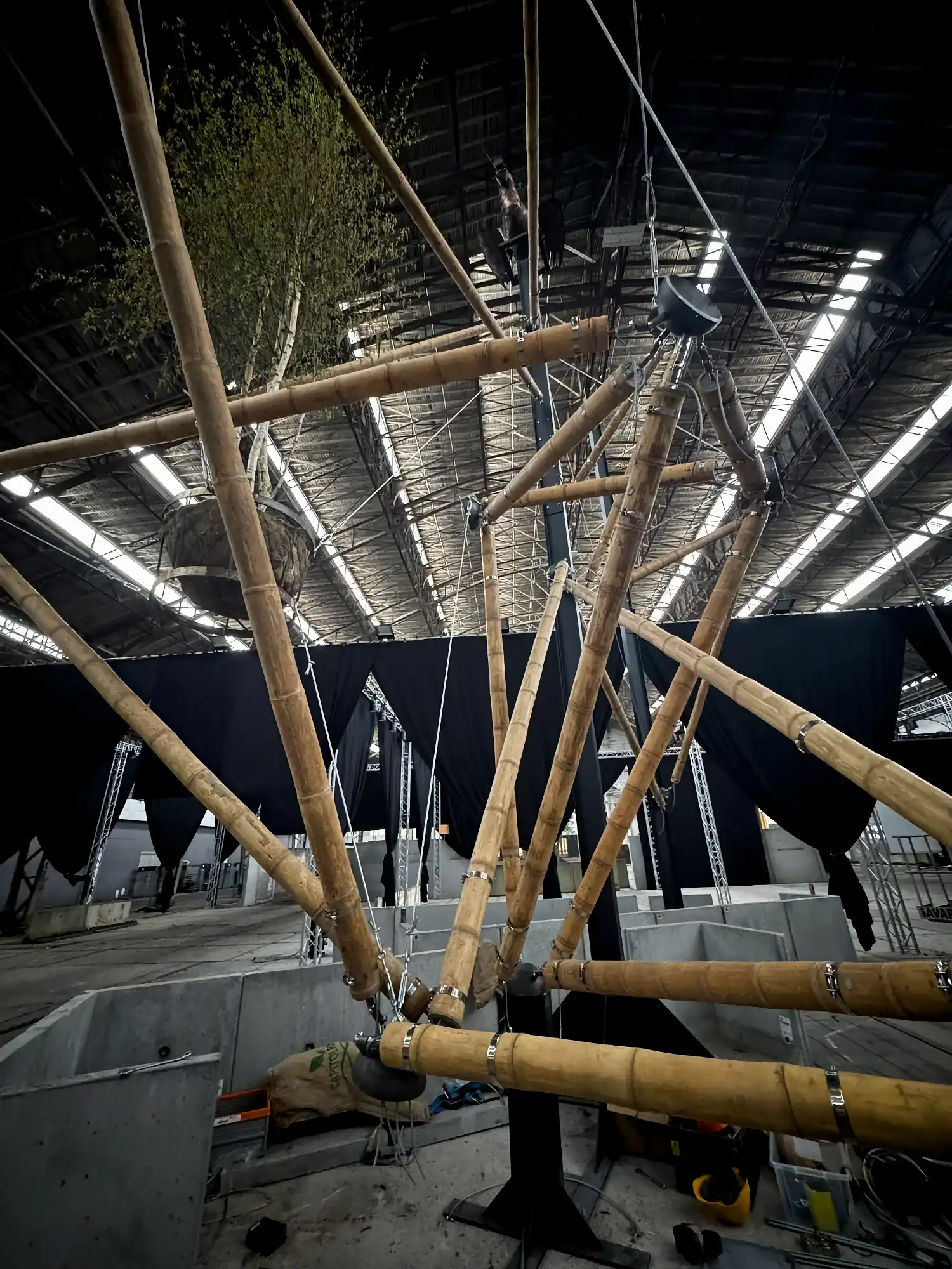 Guadua Bamboo Tensegrity Installation at Floraliën 2026 in Ghent, Belgium
