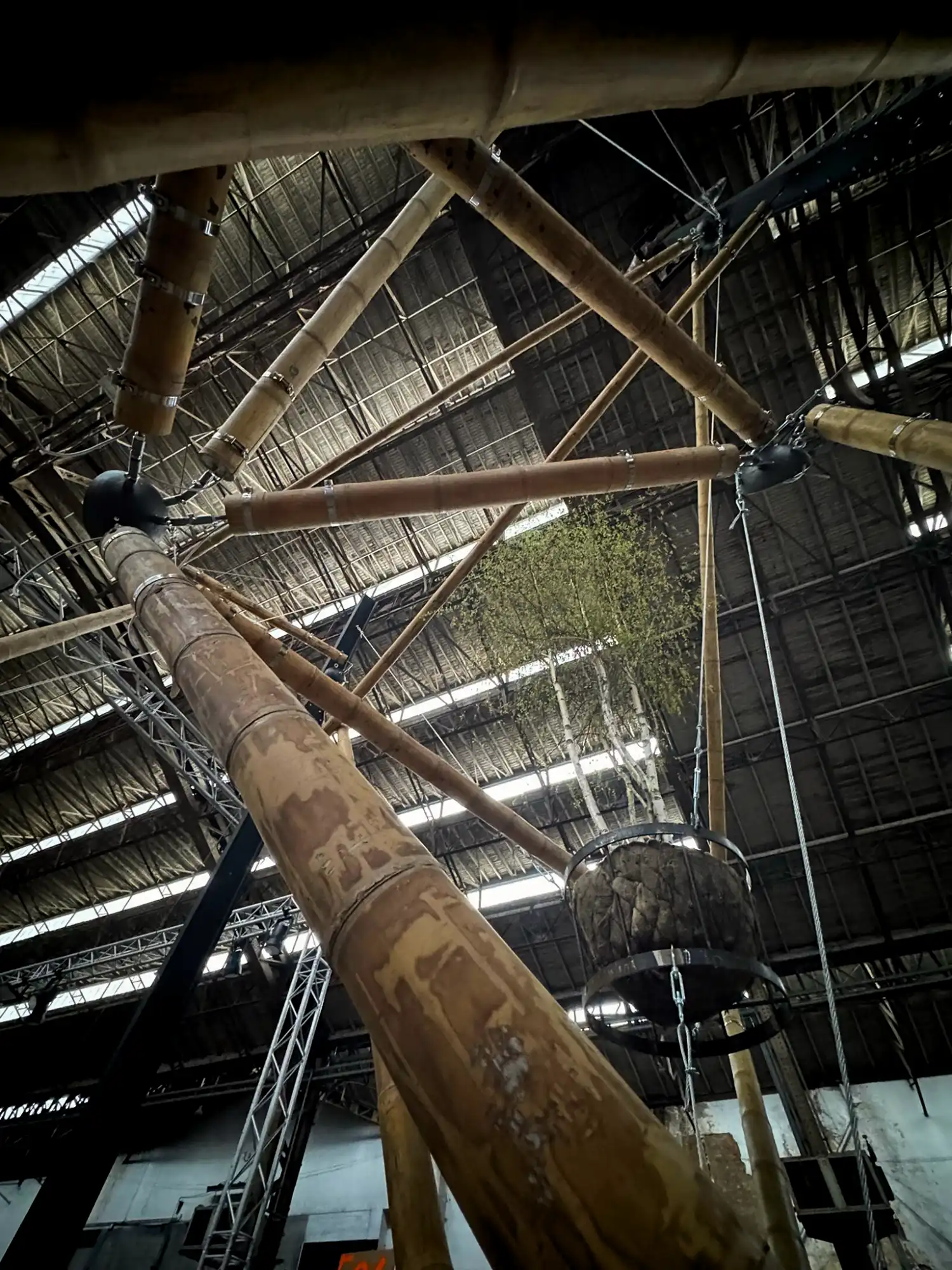 Guadua Bamboo Tensegrity Installation at Floraliën 2026 in Ghent, Belgium