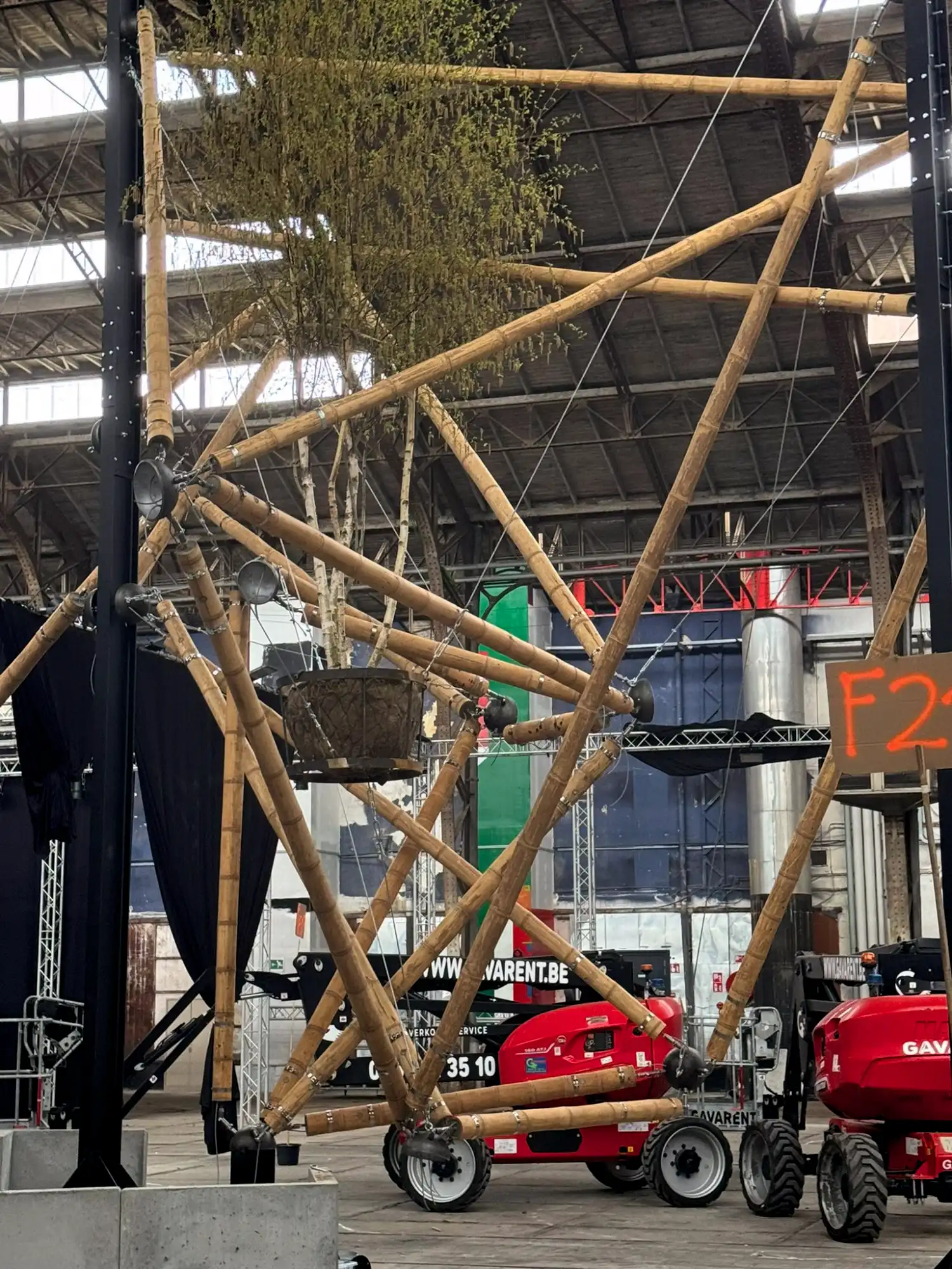 Guadua Bamboo Tensegrity Installation at Floraliën 2026 in Ghent, Belgium