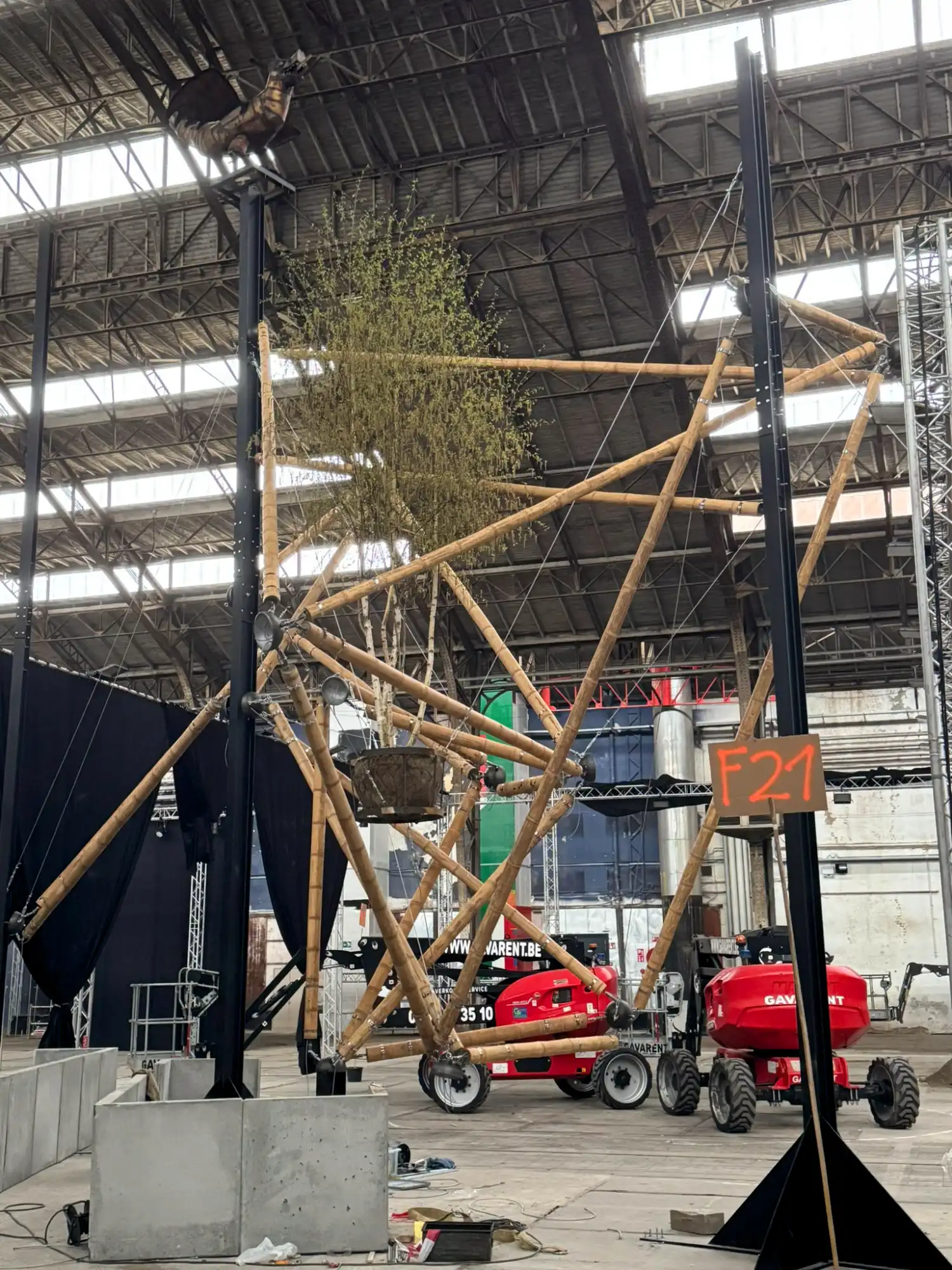 Guadua Bamboo Tensegrity Installation at Floraliën 2026 in Ghent, Belgium