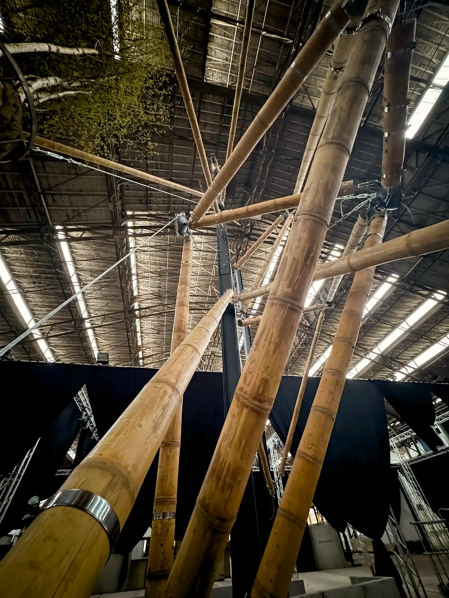 Guadua Bamboo Tensegrity Installation at Floraliën 2026 in Ghent, Belgium
