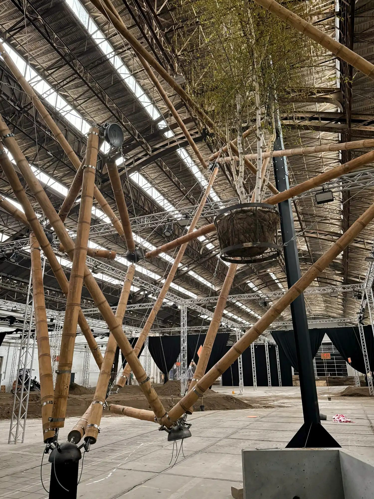 Guadua Bamboo Tensegrity Installation at Floraliën 2026 in Ghent, Belgium