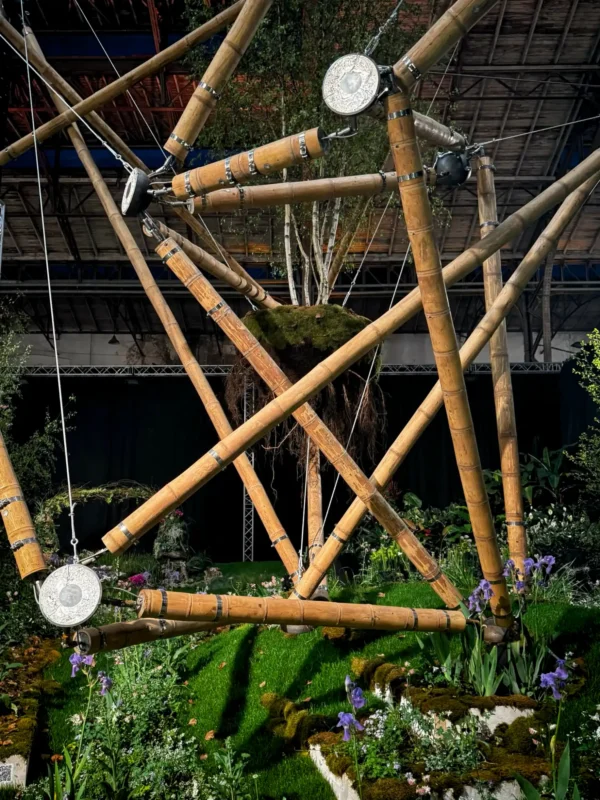 Guadua Bamboo Tensegrity Structure at Floraliën 2026 in Ghent, Belgium
