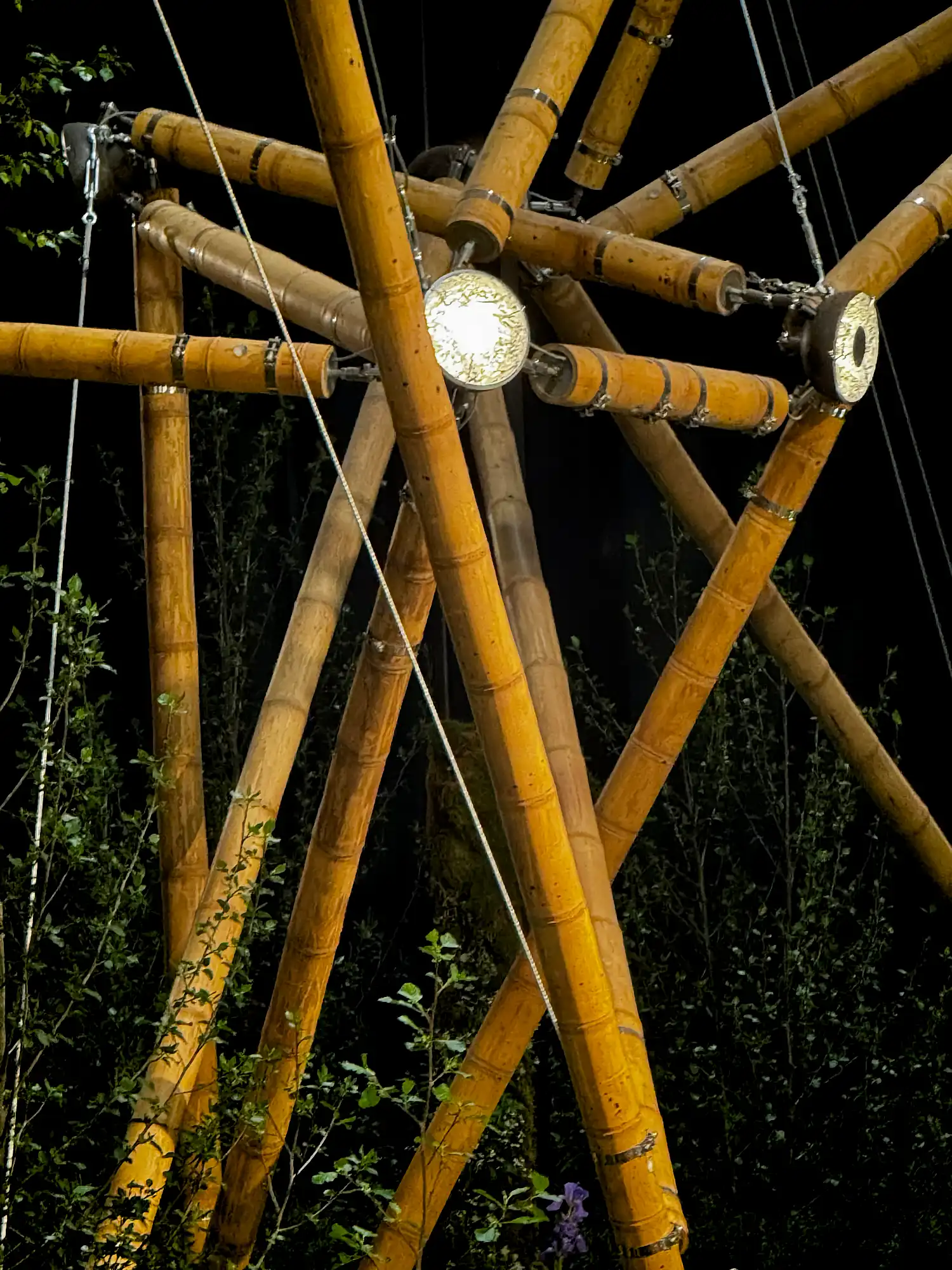 Guadua Bamboo Tensegrity Structure at Floraliën 2026 in Ghent, Belgium