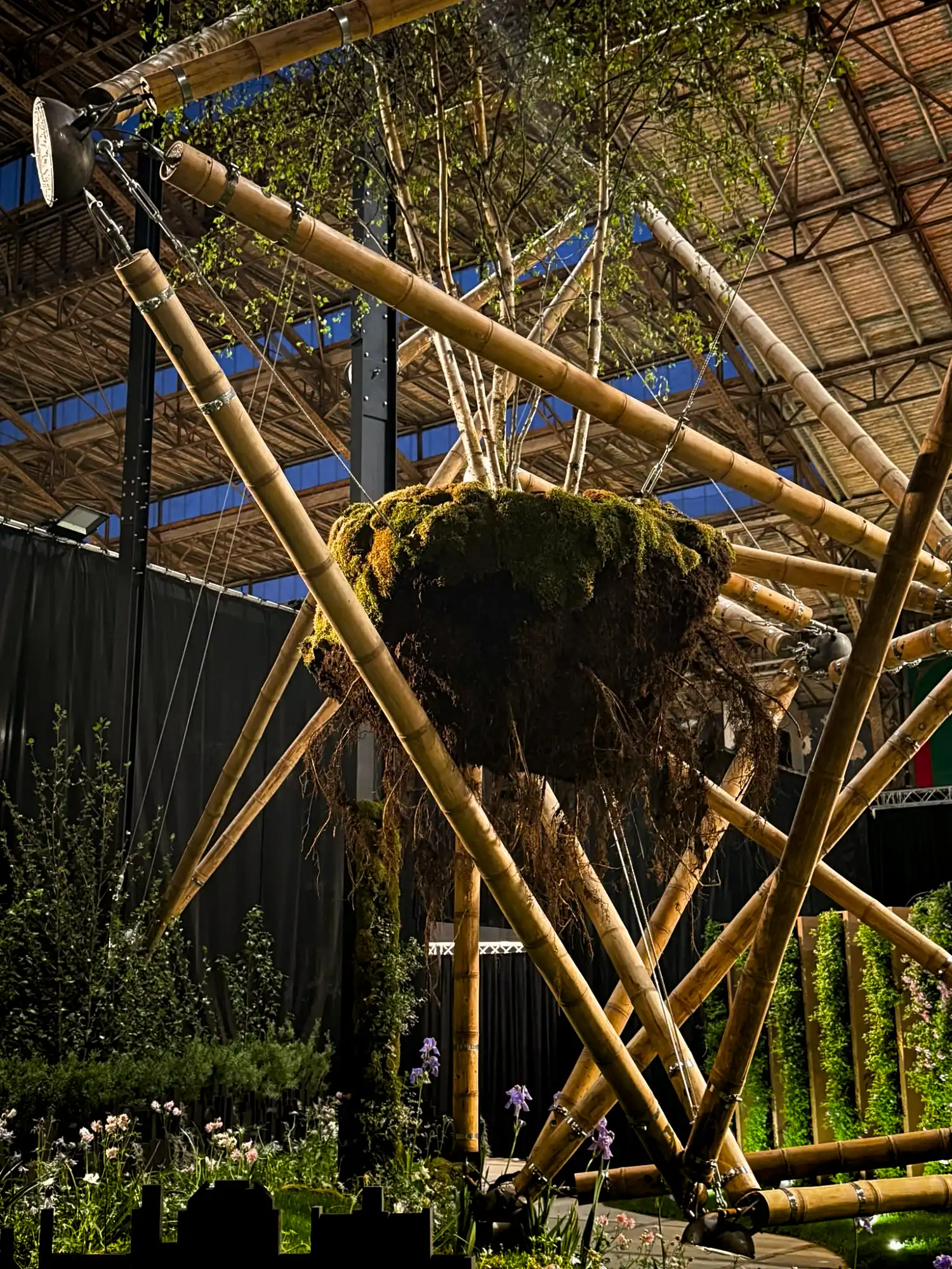 Guadua Bamboo Tensegrity Structure at Floraliën 2026 in Ghent, Belgium