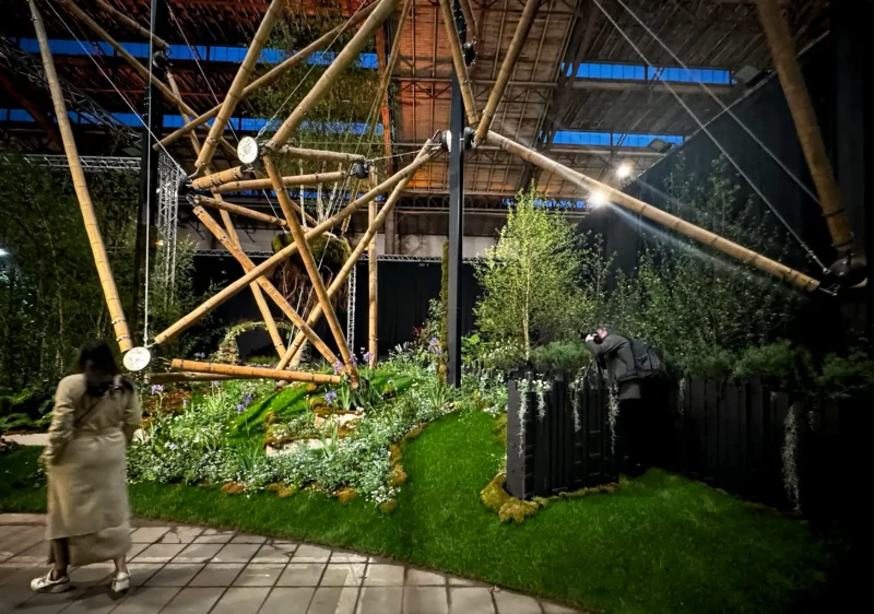 Guadua Bamboo Tensegrity Structure at Floraliën 2026 in Ghent, Belgium