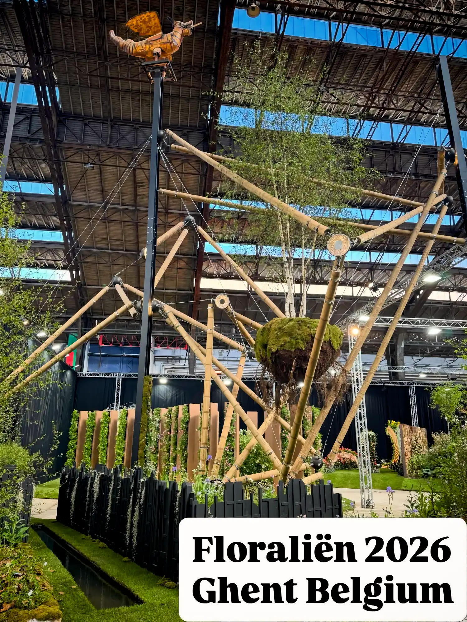 Guadua Bamboo Tensegrity Structure at Floraliën 2026 in Ghent, Belgium