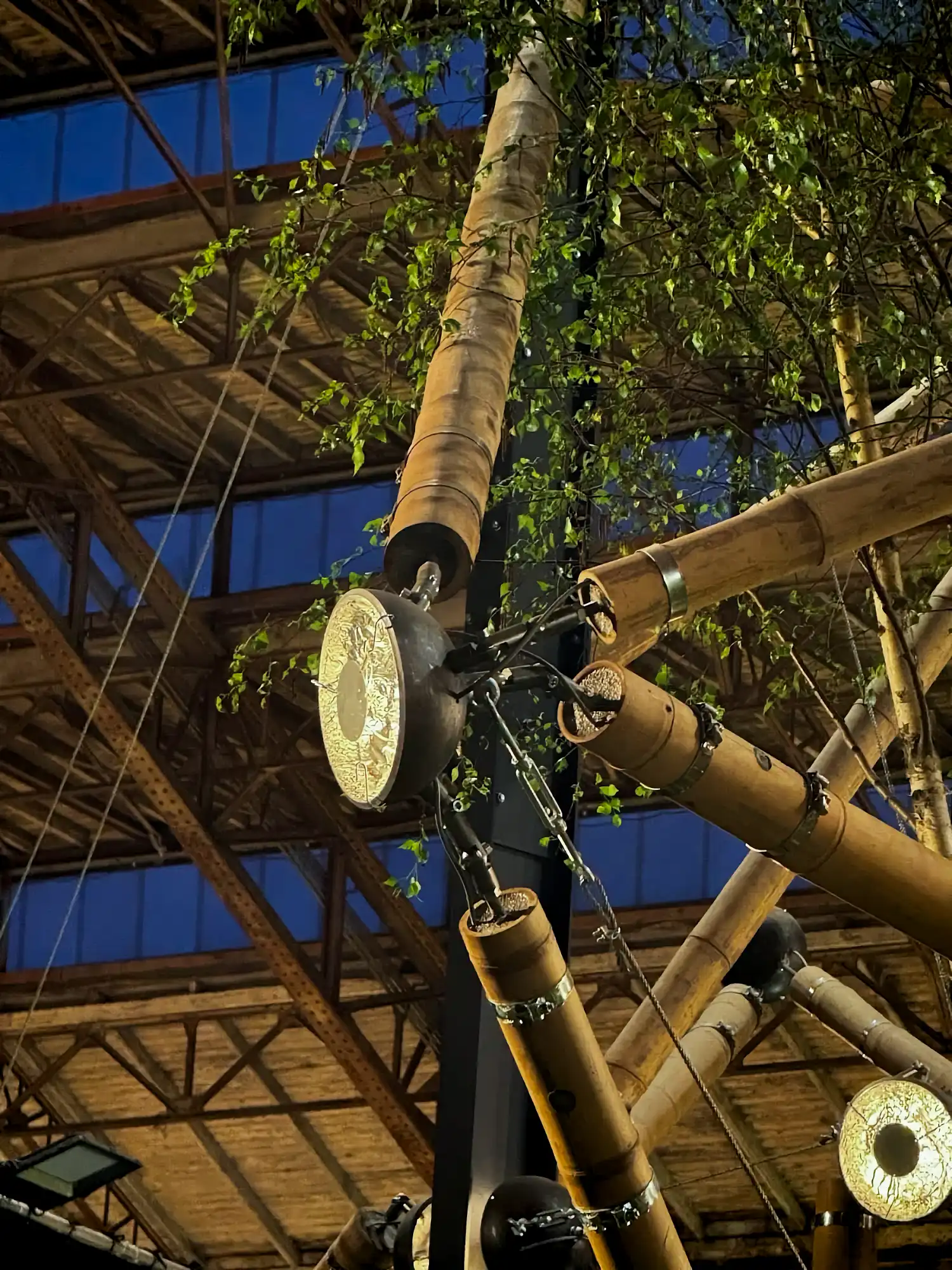 Guadua Bamboo Tensegrity Structure at Floraliën 2026 in Ghent, Belgium